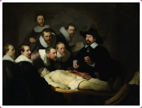  “The Anatomy Lesson of Dr. Nicolaes Tulp”의 시선: 빛과 그림자 속 과학적 사실주의